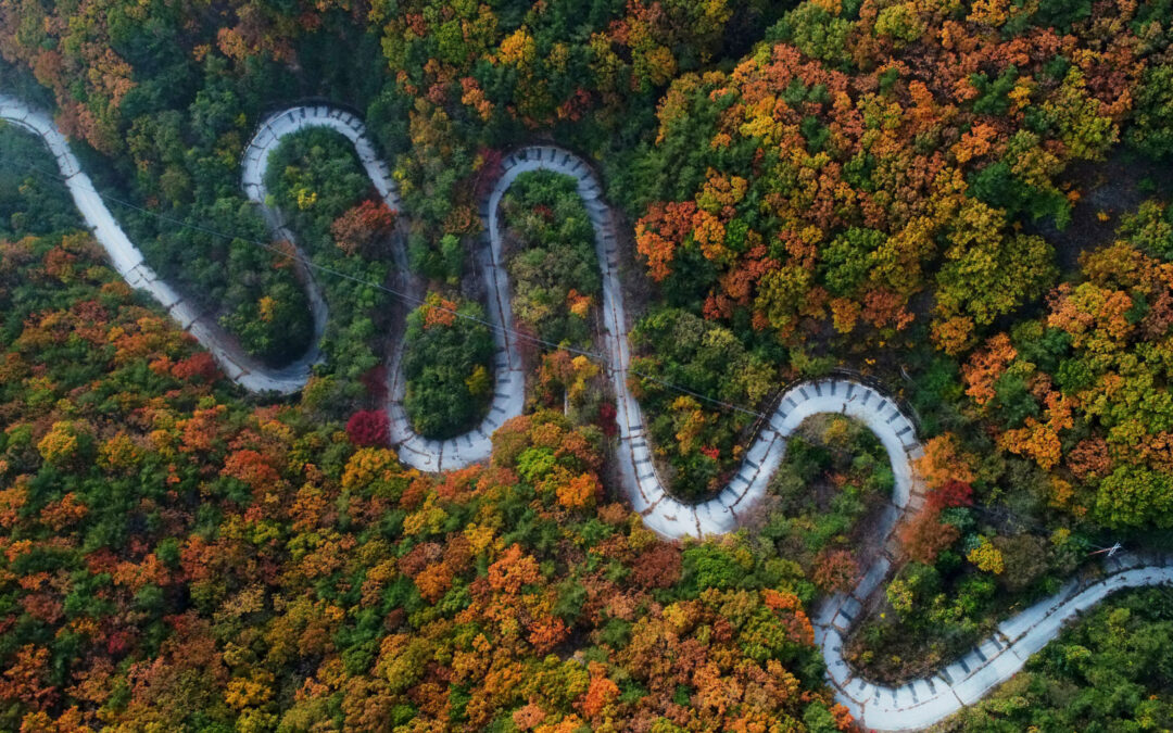 A Roadmap for Those Ruled by Emotions